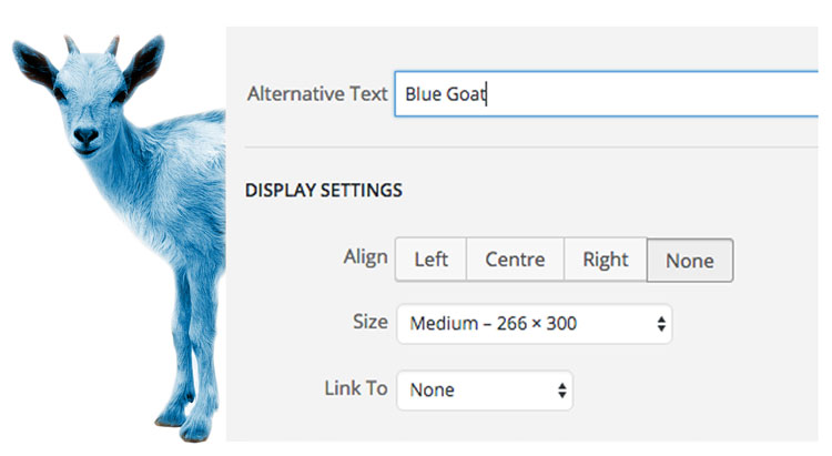 Blue-Goat