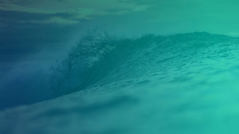 WordCamp Sunshine Coast
