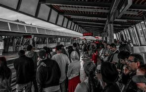 Find WordPress Clients