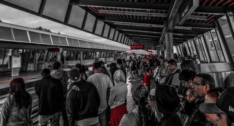 Find WordPress Clients