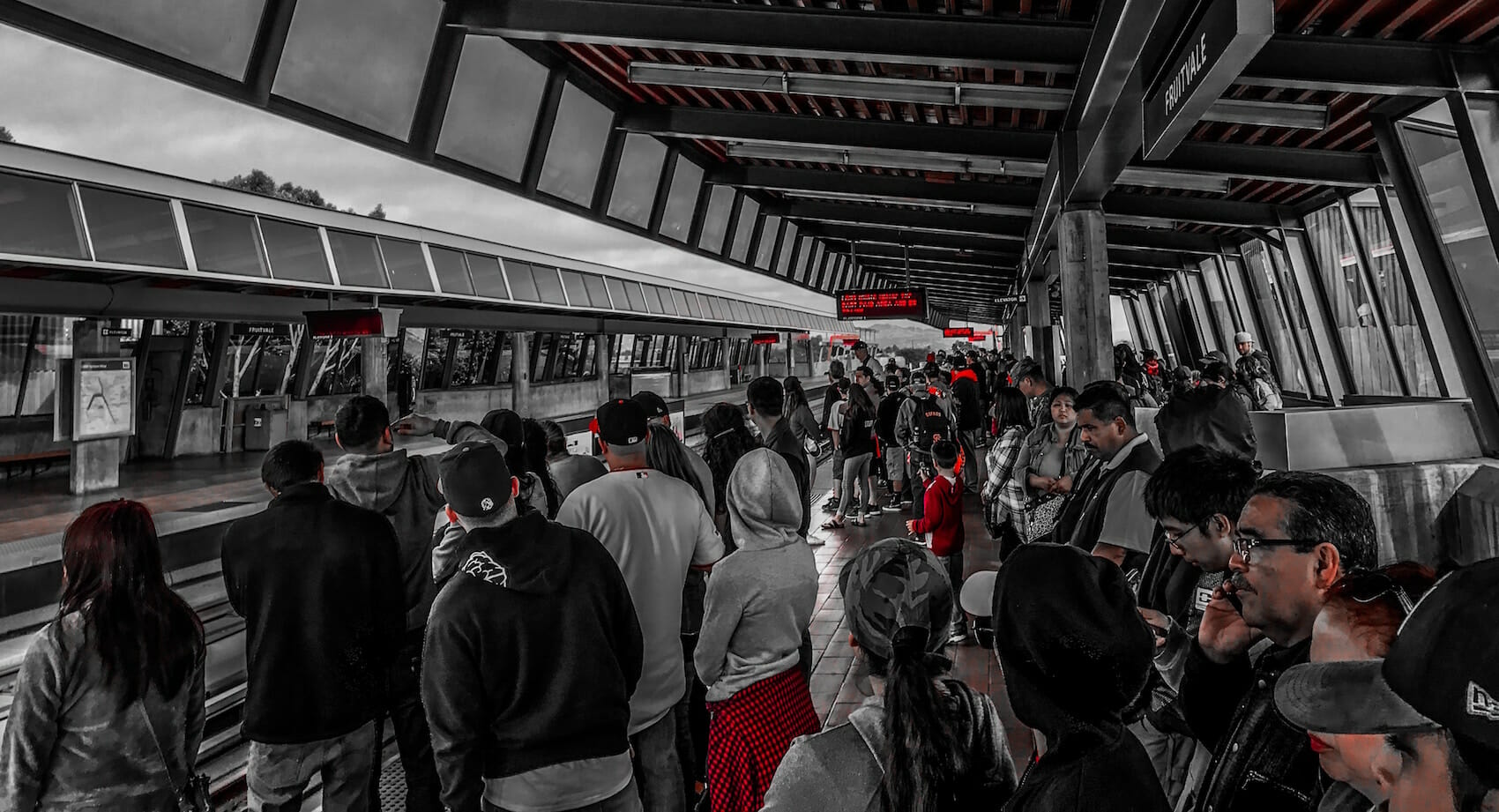 Find WordPress Clients