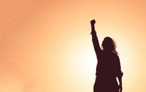 The 7 Stages of WordPress Professional Growth
