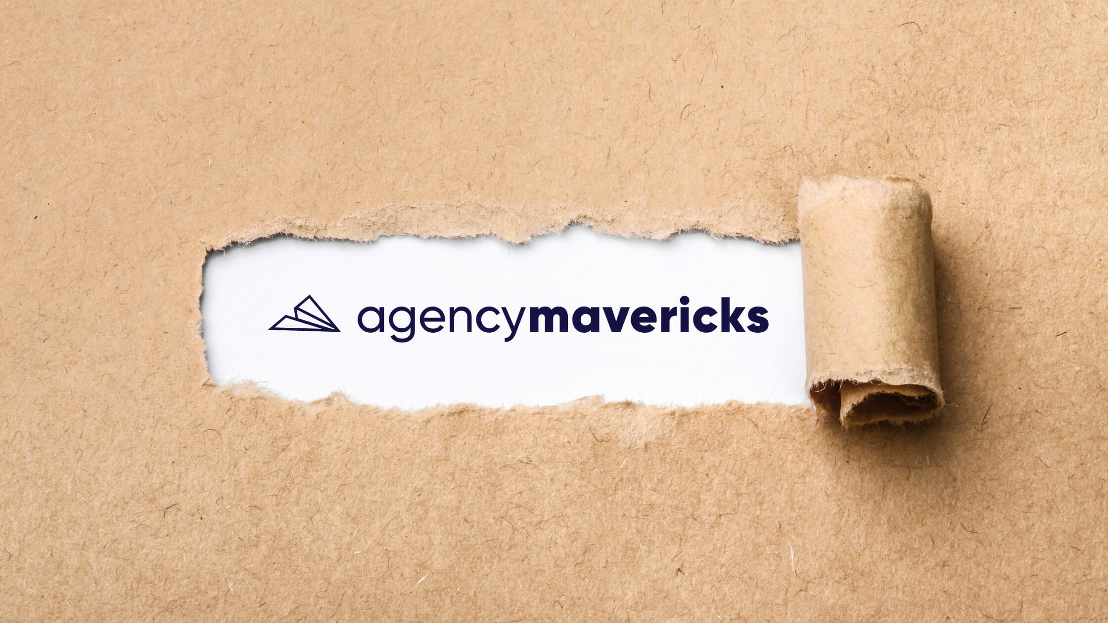 WP Elevation's new name and ogo "Agency Mavericks"