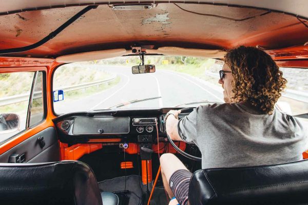 recurring revenue WordPress business