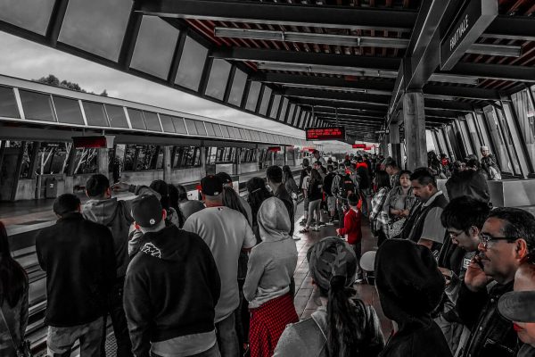 Find WordPress Clients